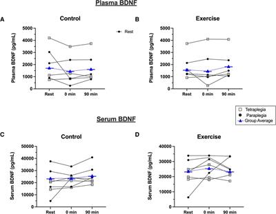 Acute submaximal exercise does not impact aspects of cognition and BDNF in people with spinal cord injury: A pilot study